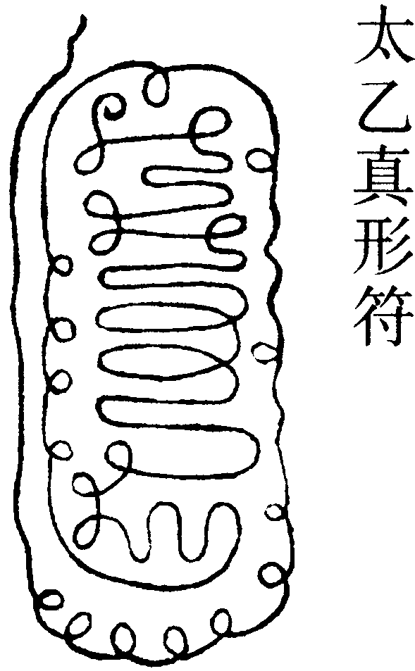 太乙真形符