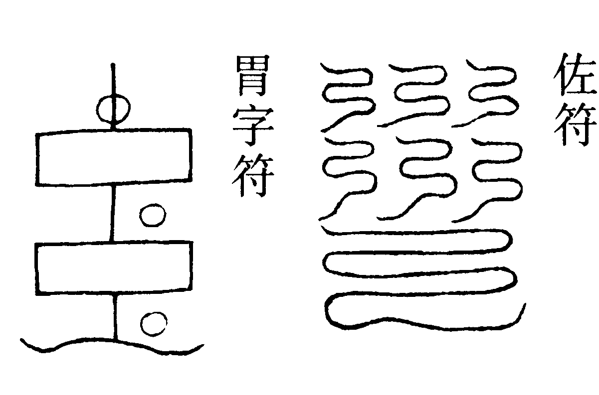 胃字符